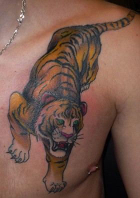 Tiger tatuerad på bröstkorg