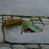 höstdepression_2