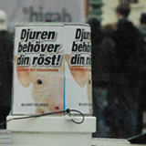 Grisen