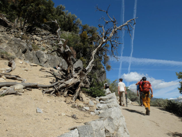 Small patch of the trail.